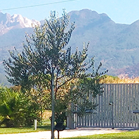 Outside and parking